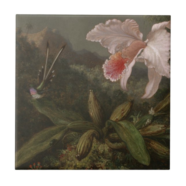 Dschungel-Orchideen und Kolibris Fliese (Vorderseite)