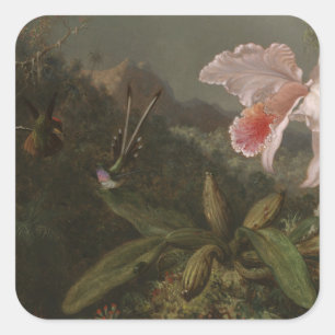 Dschungel-Orchideen und Kolibris Quadratischer Aufkleber