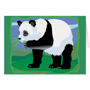 Dschungel-Panda-Bär