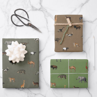 Dschungel-Safari-Tiere Muster Grün Braun Oliv Geschenkpapier Set