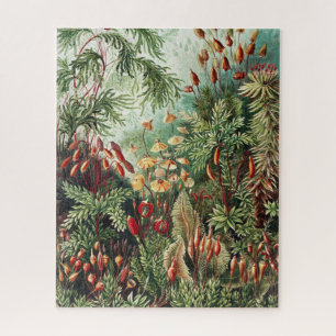 Dschungel-Wildnis-Puzzle