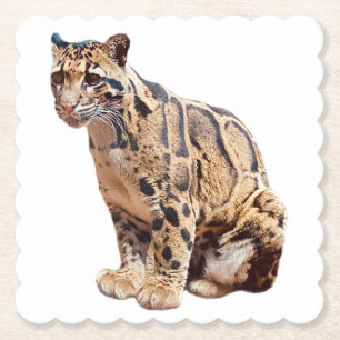 Dschungelkatzentier mit getrübter Leoparde Untersetzer