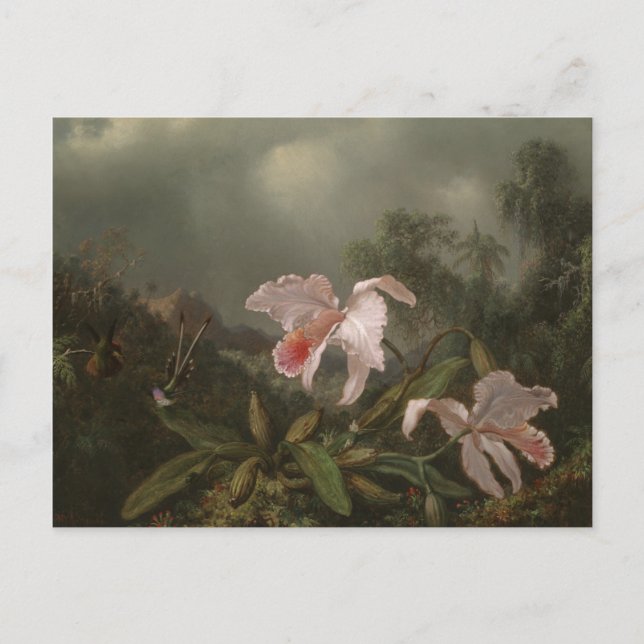 Dschungelorchien und Hummingvögel Postkarte (Vorderseite)