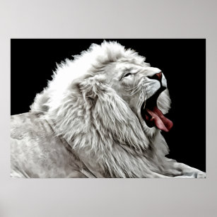 Dschungeltiere mit weißem Löwen, digital abstrakt Poster