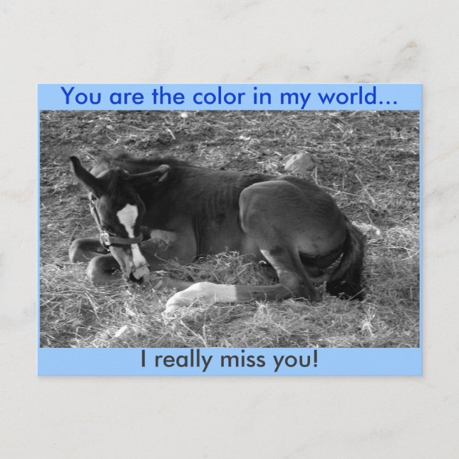 Du bist die Farbe in meiner Welt Postkarte (Vorderseite)