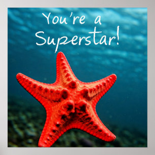 Du bist ein Superstar! Poster