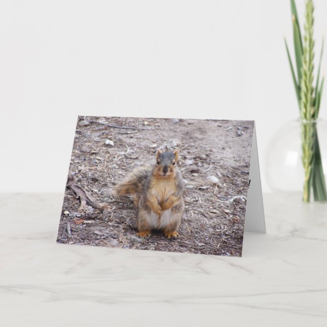 Du bist eine Nuss Karte (Vorderseite)