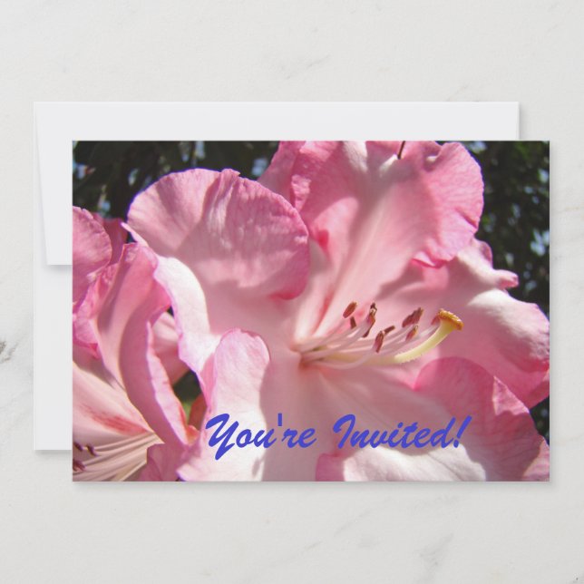 Du bist eingeladen! Bis zum Party!Einladungen Einladung (Vorderseite)