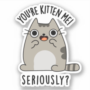 Du bist Kitten Me Seriös lustiger Cat Pun Aufkleber