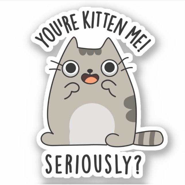 Du bist Kitten Me Seriös lustiger Cat Pun Aufkleber (Vorderseite)