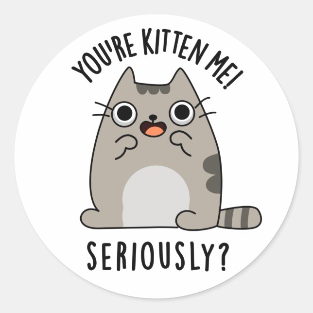 Du bist Kitten Me Seriös lustiger Cat Pun Runder Aufkleber (Vorderseite)
