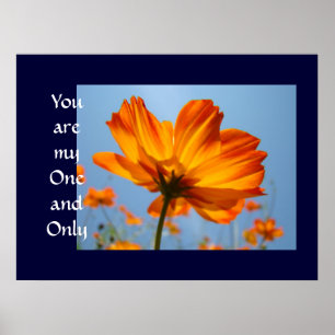 Du bist mein Ein und Alles Kunstdruck Orange Gänse Poster