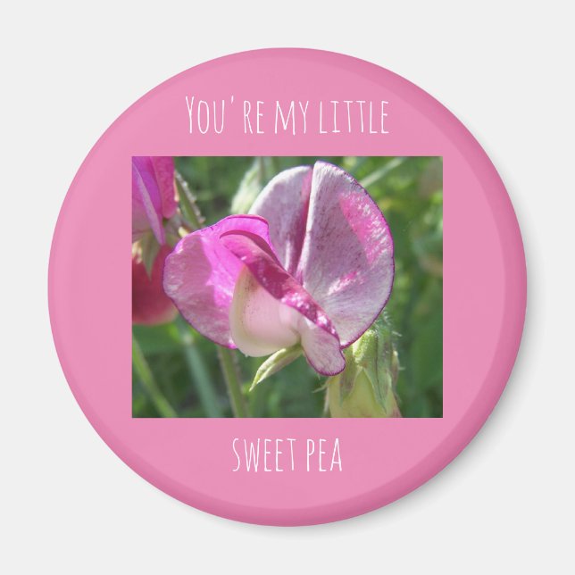 Du bist mein kleiner süßer Erbsenmagnet Magnet (Vorne)