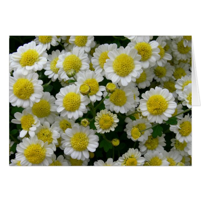 Du bist mein Sonnenschein (Vorderseite (Horizontal))