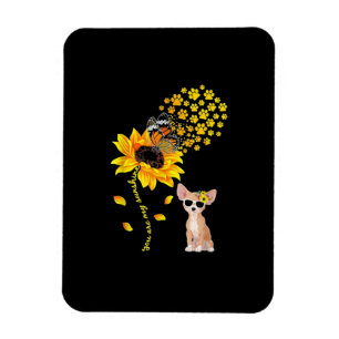 Du bist meine Sonnenblume Chihuahua Männer Frauen Magnet