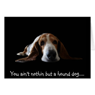 Du bist nicht nur ein Hundehund