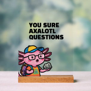 Du bist sicher Axolotl Fragen Cute Sarcastic Meme Acrylschild