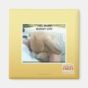 Du bringst einen sonnigen Schrei Magnet