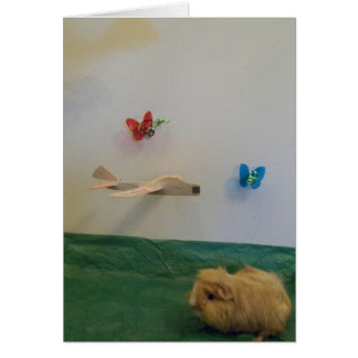 Du füllst mein Leben mit Launen