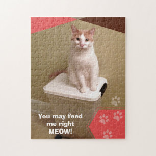 Du füttre mir vielleicht das Puzzle des miauen Kat