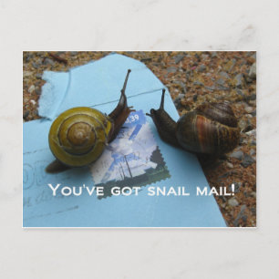 Du hast eine Schnecke got Postkarte