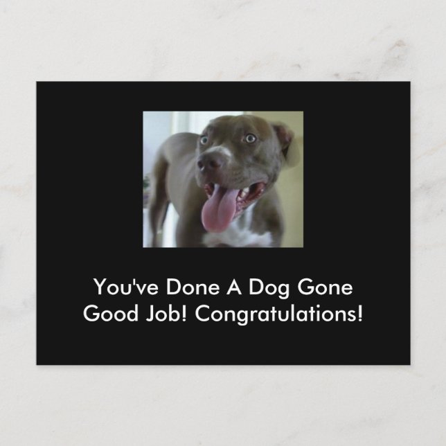 Du hast einen Hund gut gemacht! Postkarte (Vorderseite)