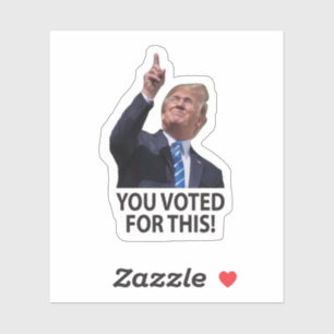 Du hast für diesen Trump Maga Aufkleber gestimmt