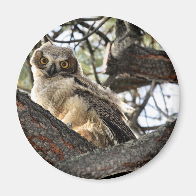 Du hast meine Augen Liebe? -Magnet Magnet (Vorne)