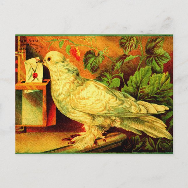 Du hast Post! Postkarte (Vorderseite)