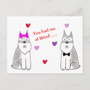 Du hattest mich bei Woof Schnauzer Postkarte