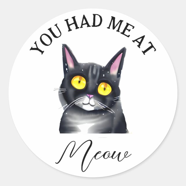 Du hattest mich in Meow Runder Aufkleber (Vorderseite)