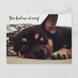 Du hattest mich in Wucht. Chihuahua Postkarte. Postkarte