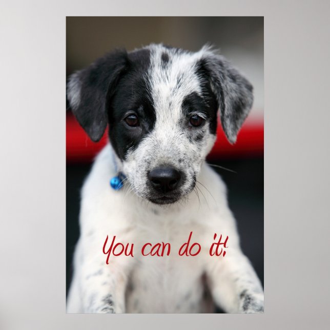 Du kannst es tun! poster (Vorne)