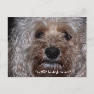 Du machst Witze, richtig? Postkarte