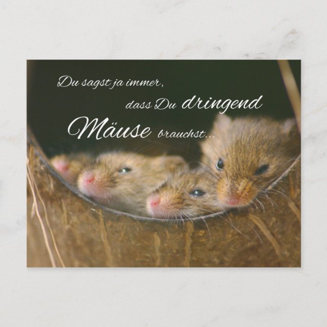 Du sagst ja immer, dass Du dringend Mäuse brauchst Postkarte (Vorderseite)