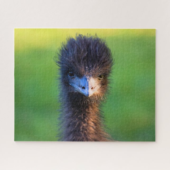 Du siehst mich an? - Emu Jigsaw Puzzle - 16x20 (Horizontal)