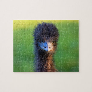 Du siehst mich an? - Emu Jigsaw Puzzle - 8x10