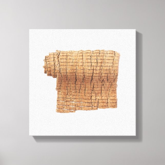 Du Zhong Canvas Print Leinwanddruck (Vorderseite)