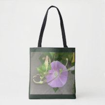 Dual-Image Flower and Tendril Morning Glory