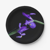 Dual-Iris-Round-Paper-Teller