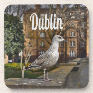 Dublin Ireland Bird on Bridge Getränkeuntersetzer