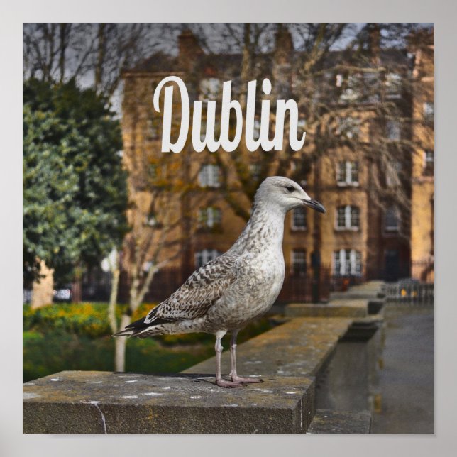 Dublin Ireland Bird on Bridge Poster (Vorne)
