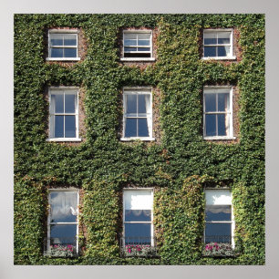 Dublin Town House Fenster und Climbing IV Poster