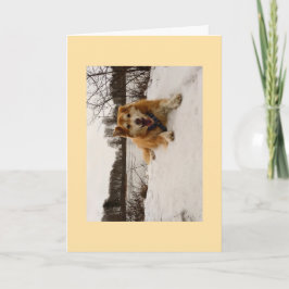 Ducati, der Wunderhund Feiertagskarte