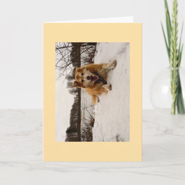 Ducati, der Wunderhund Feiertagskarte (Vorderseite)