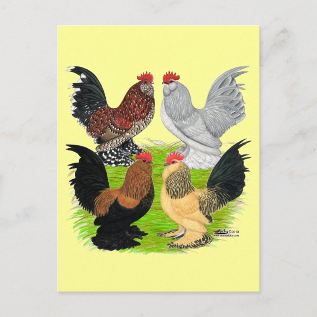 D'Uccles Four Roosters Postkarte (Vorderseite)