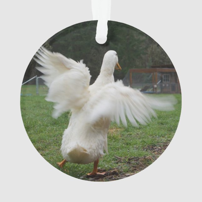 Duck (dos)