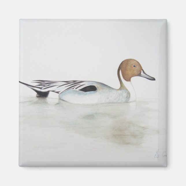 Duck 2011 magnet (Vorne)