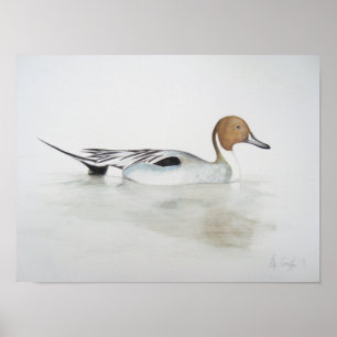 Duck 2011 poster