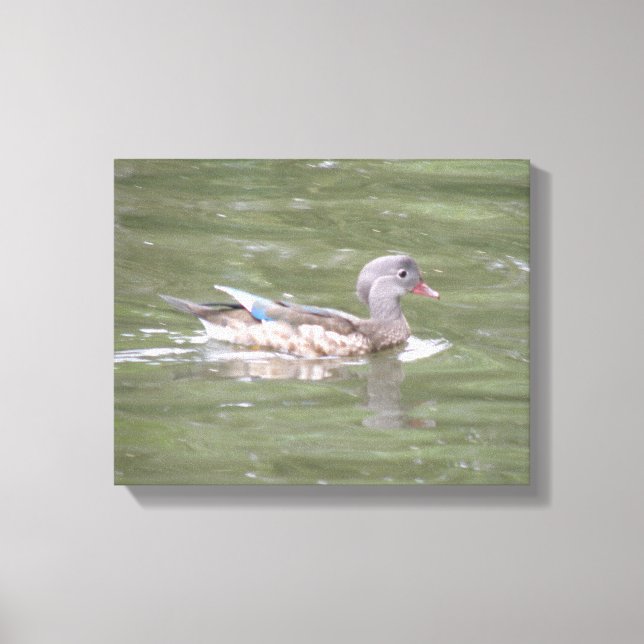 Duck am Canvas-See Print Leinwanddruck (Vorderseite)